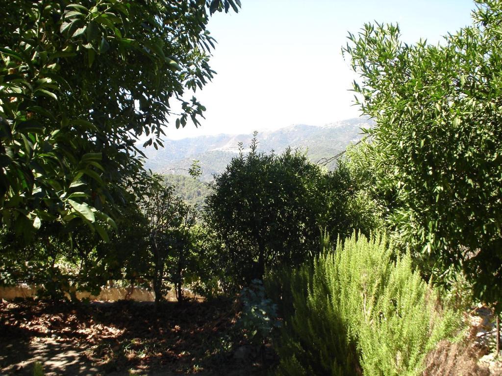 Posada Mirador De Jubrique エクステリア 写真
